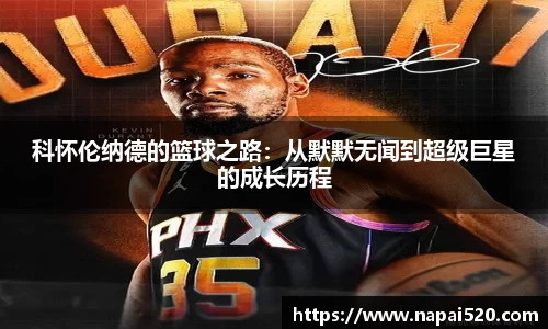 bsports官网