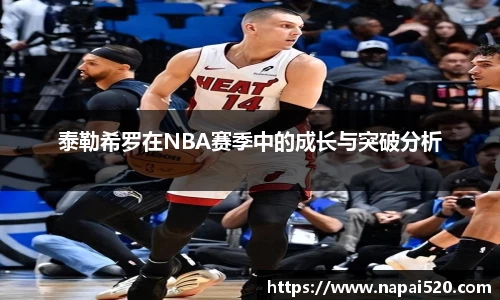 bsports登录入口