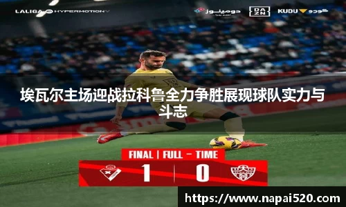 bsports官网入口