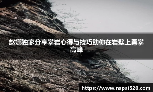 bsports登录入口