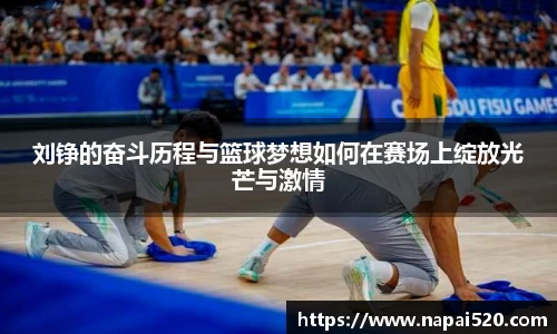 bsports官网登录入口
