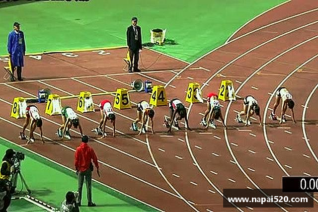 介绍bsports官网